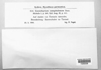 Image Associated With the Occurence